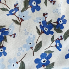 fleurs bleues