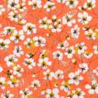 Miyu corail
